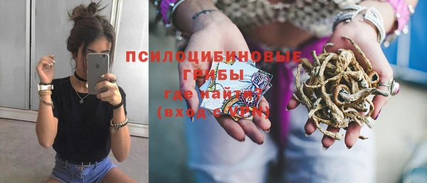 mdpv Кодинск